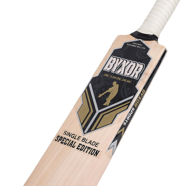 Cricket