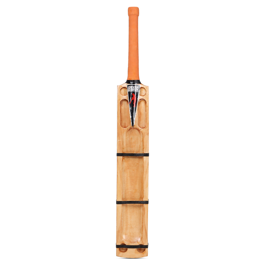 Kashmir Willow Cricket Bat