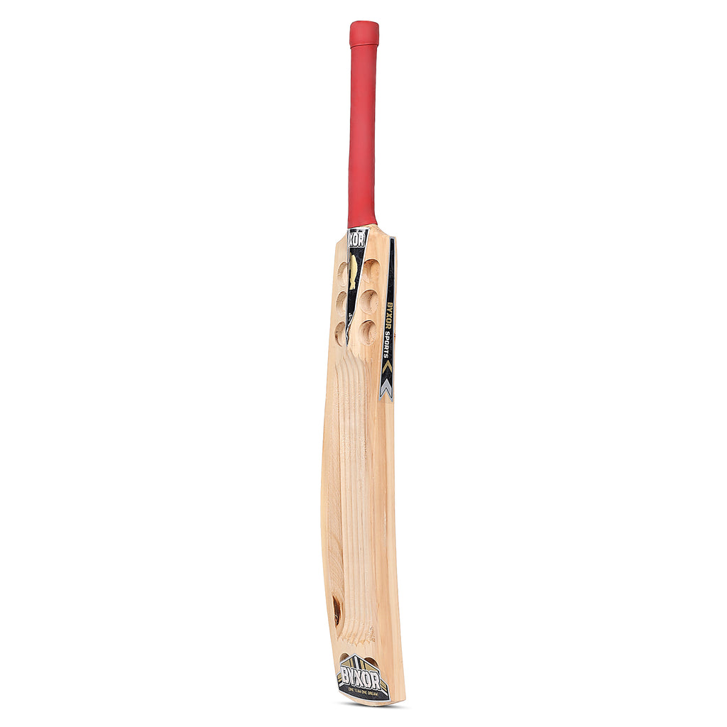 BYXOR Single Blade Player Edition – Full bat back view