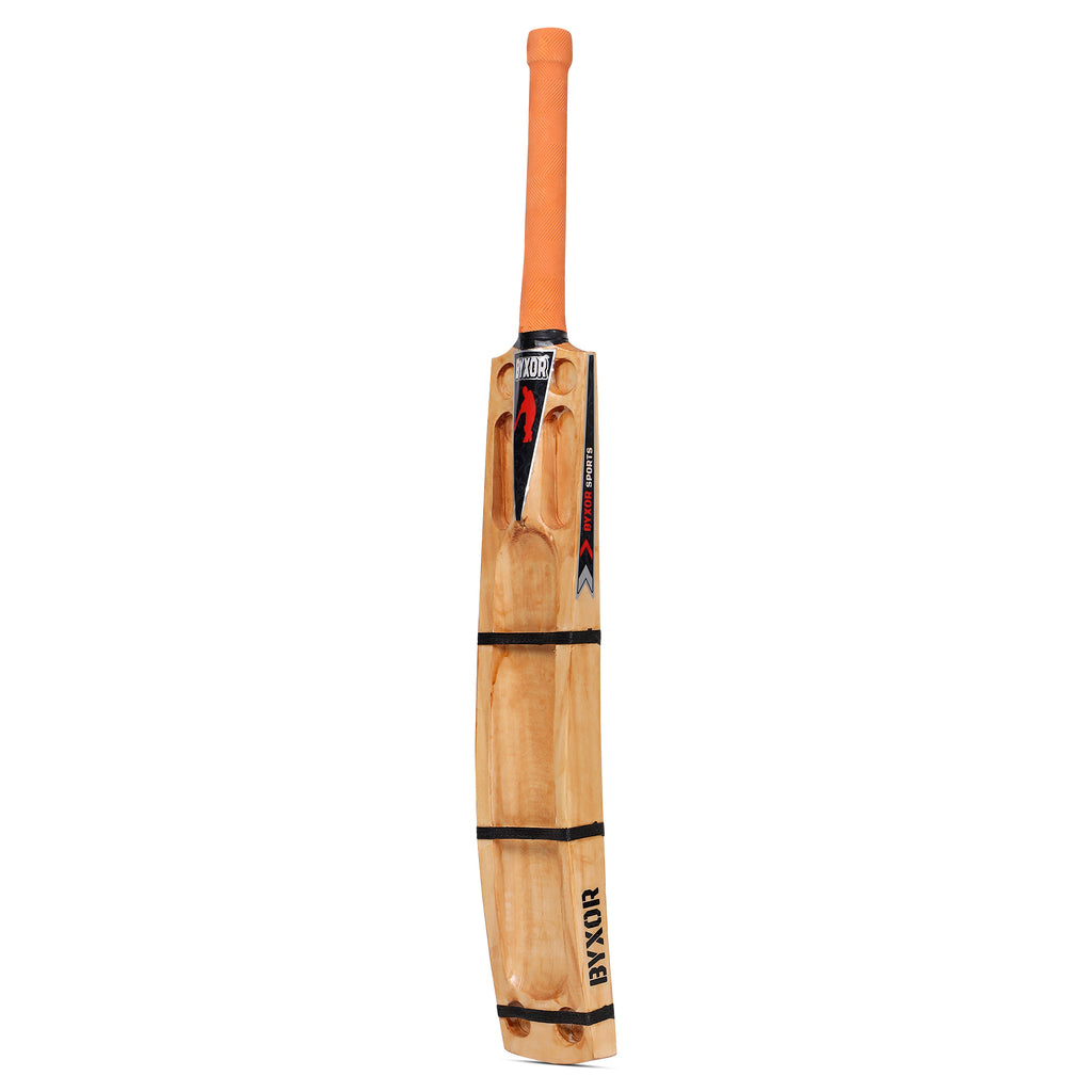 Kashmir Willow Cricket Bat